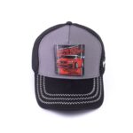 COUP Casual Cap with Removable Scotch - Multi color