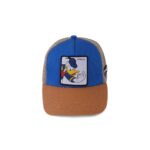 COUP Casual Cap with Removable Scotch - Multi color