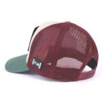 ⁦COUP Casual Cap with Removable Scotch - Multi color⁩ - الصورة ⁦4⁩