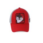 COUP Casual Cap with Removable Scotch - Multi color