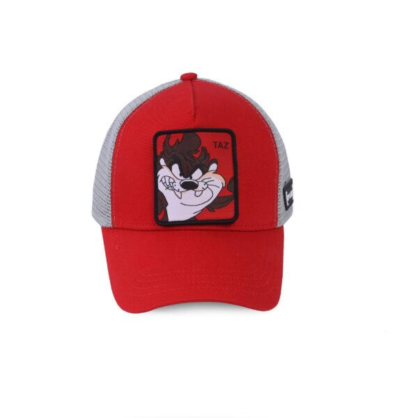 COUP Casual Cap with Removable Scotch - Multi color